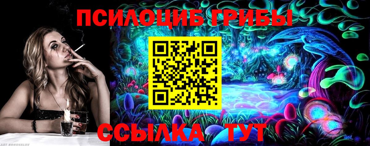 Псилоцибиновые грибы GOLDEN TEACHER Богородицк