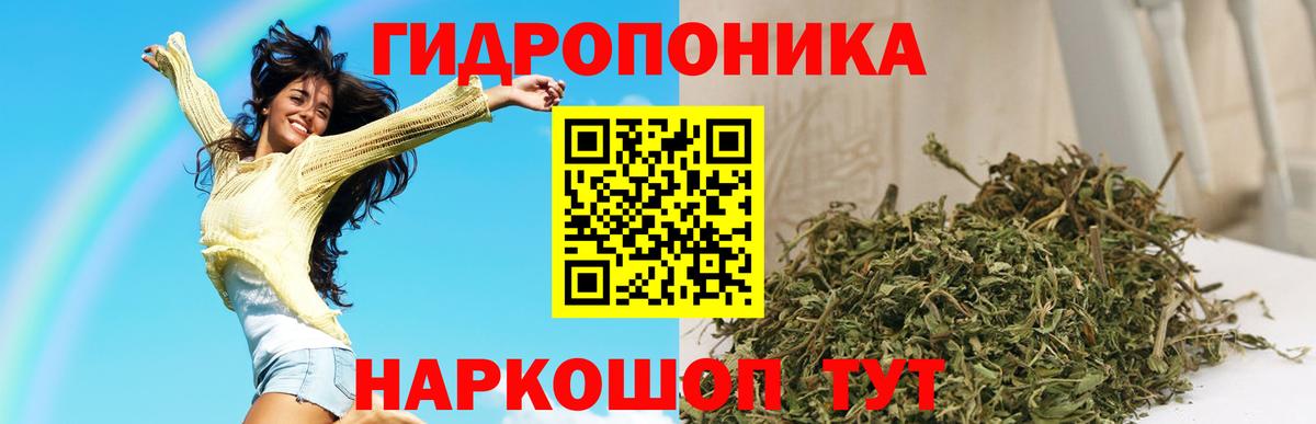 Канабис сатива  Вход с VPN  Богородицк  Канабис планчик 